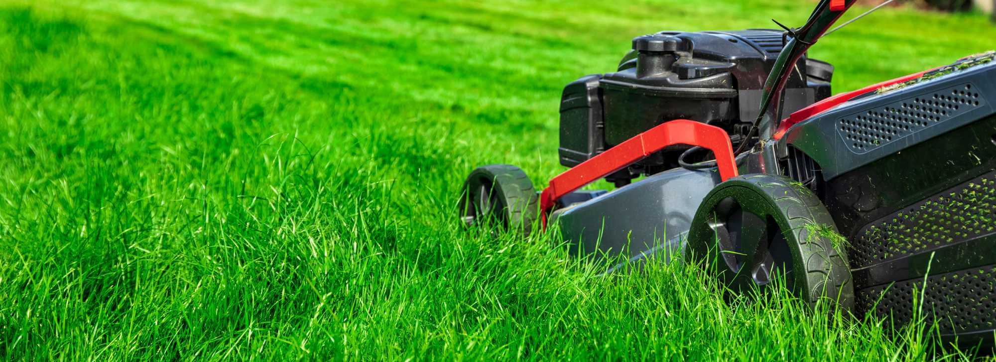 Lawn Mowing Services